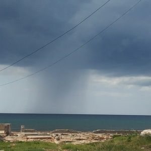 Meet your Posher, Olga